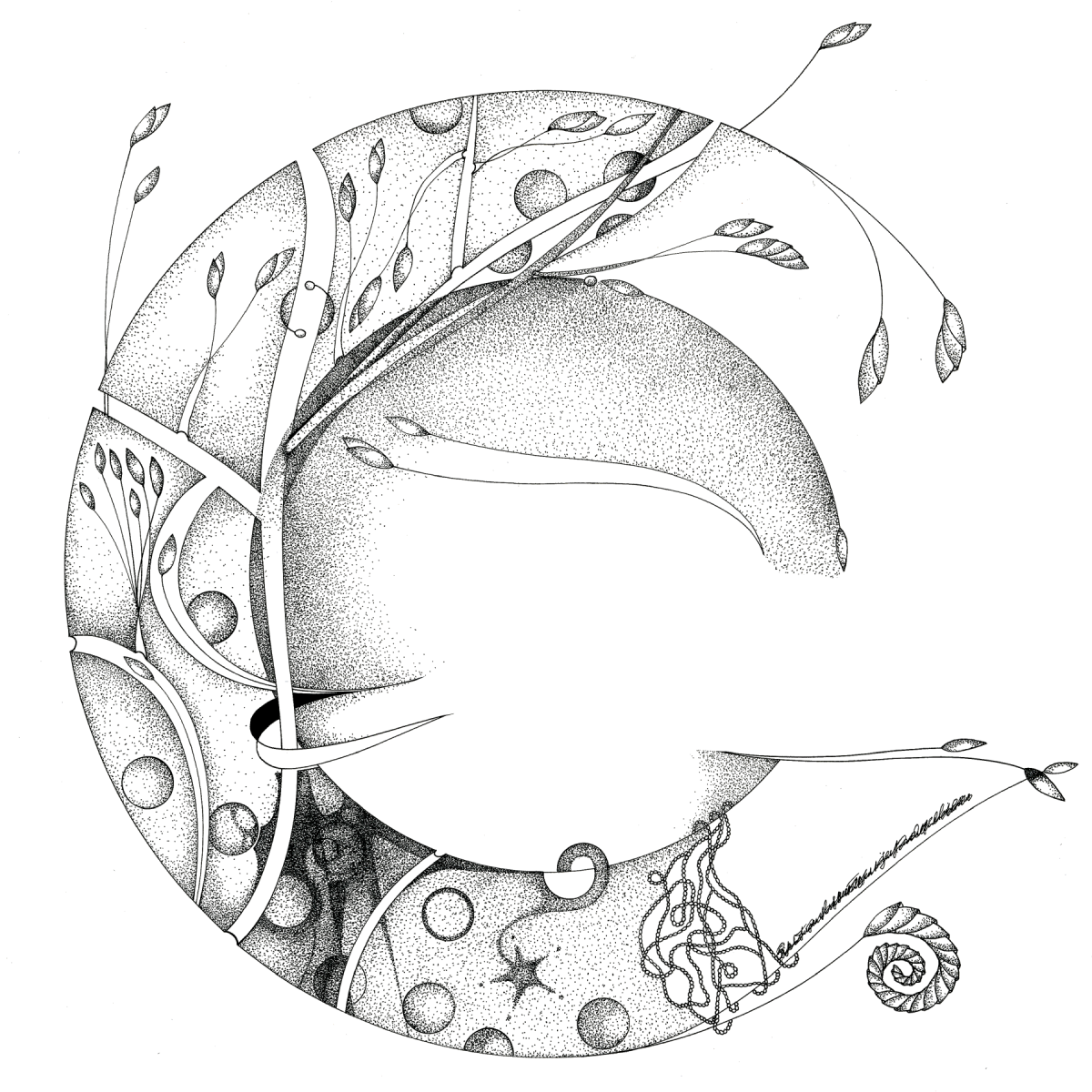 skica 4