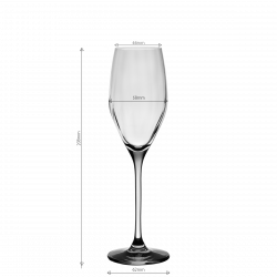 Champagnerglas 170 ml Set 6-tlg. Optima Line Glas Lunasol