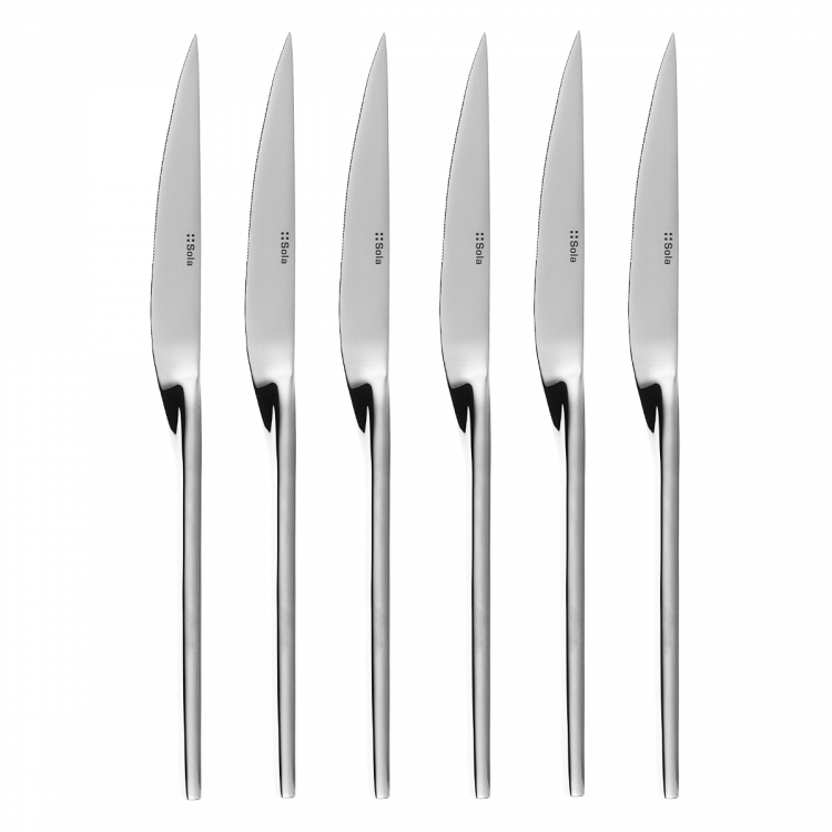 Steakmesser Twist Set 6-tlg. in silber Magnetbox Beta poliert