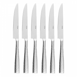 Steakmesser VH Set 6-tlg. in Box – Miracle