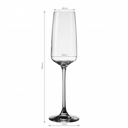Champagner -Glas 250 ml Set 4-tlg. - 21st Glas Lunasol