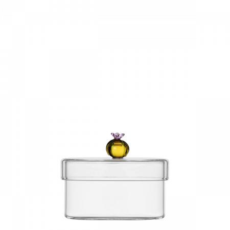 Dose Kaktus Amber Ichendorf