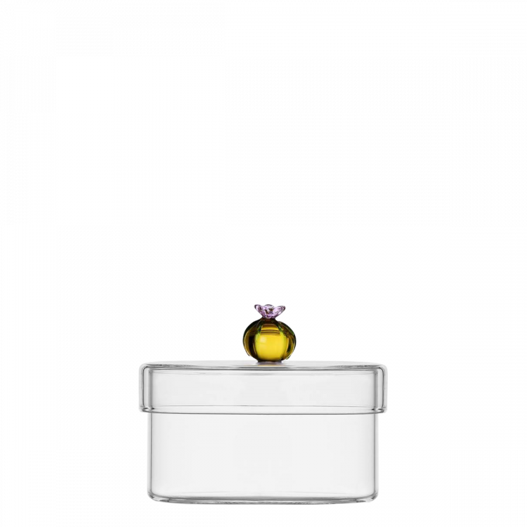 Dose Kaktus Amber Ichendorf