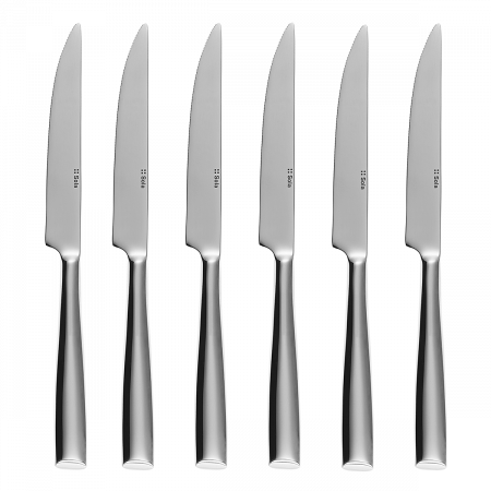 Steakmesser Set 6-tlg. in Silber Magnetbox Vail poliert