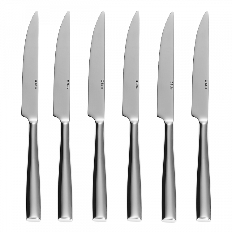 Steakmesser Set 6-tlg. in Silber Magnetbox Vail poliert
