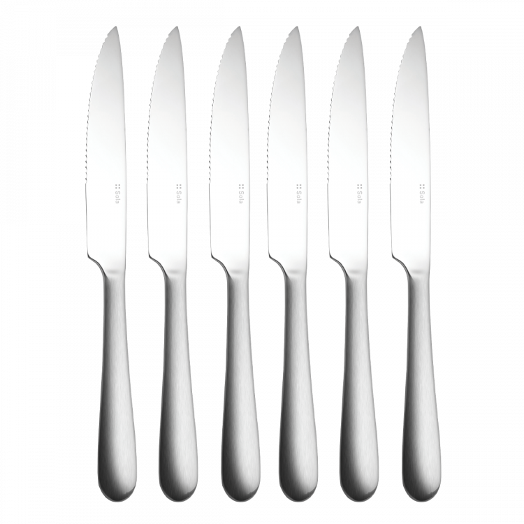 Steakmesser Set 6-tlg. in silber Magnetbox Alpha Stiel matt