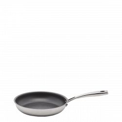Bratpfanne 24 x 4.6 cm antihaftbeschichtet Orion Professional mit Profigriff