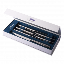 Steakmesser Set 6-tlg. in Silber Magnetbox Vail poliert