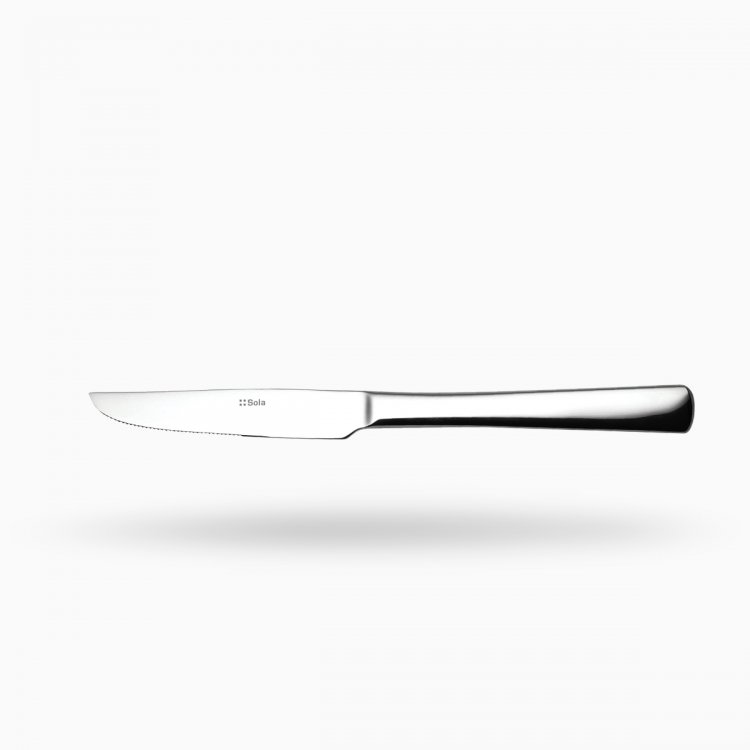 Steakmesser 22 cm - Atlantic 2000