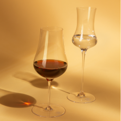 Cognacgläser Satz 2 Stück - Inivers Platinum Line