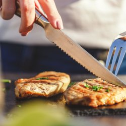 Steakmesser Hohlheft 23,5 cm - Touch me