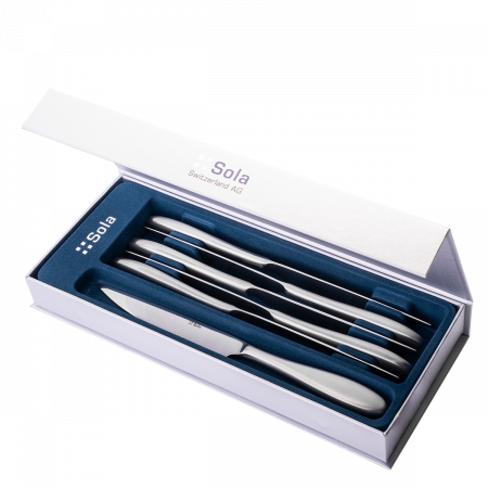 Steakmesser Set 6-tlg. in silber Magnetbox Turin Elite Stiel matt