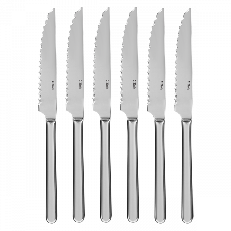 Steakmesser HH Set 6-tlg. in silber Magnetbox Como poliert