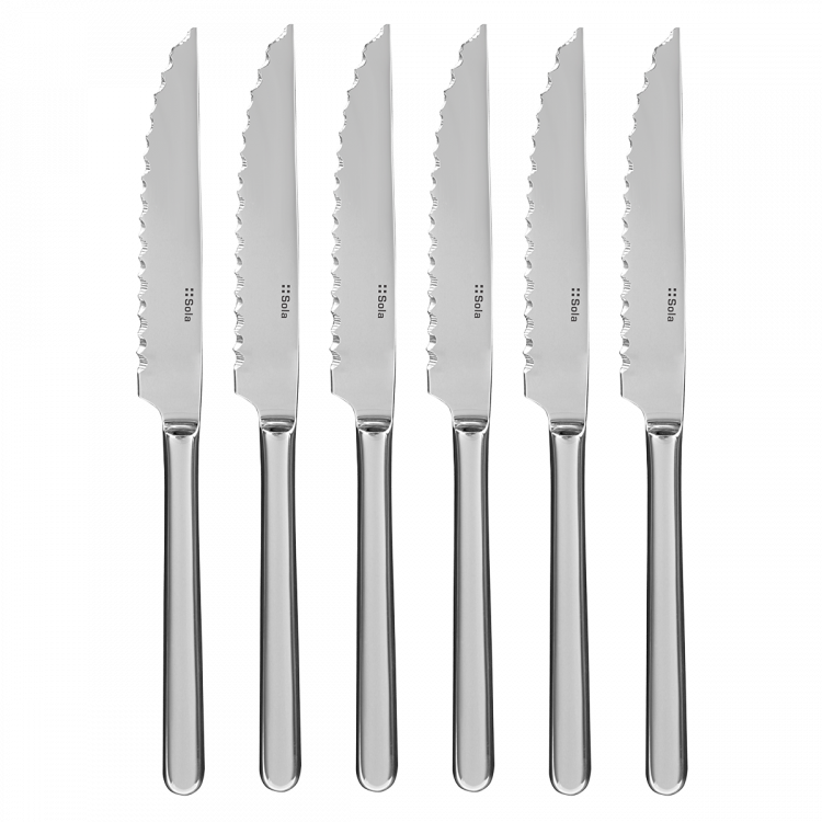 Steakmesser HH Set 6-tlg. in silber Magnetbox Como poliert